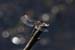 D06_5920
