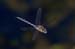 D06_7415_mp
