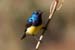 KEN06_5191_clip