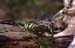 D83_22_09_clip