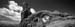 11_USxx_03_bw