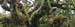 17_LR08_9659_fa
