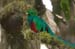 CR09_12080_clip
