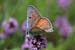 D09_12866_clip