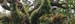 LR08_9659