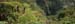 LR08_9664_clip
