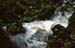 FarnWasser_600dpi