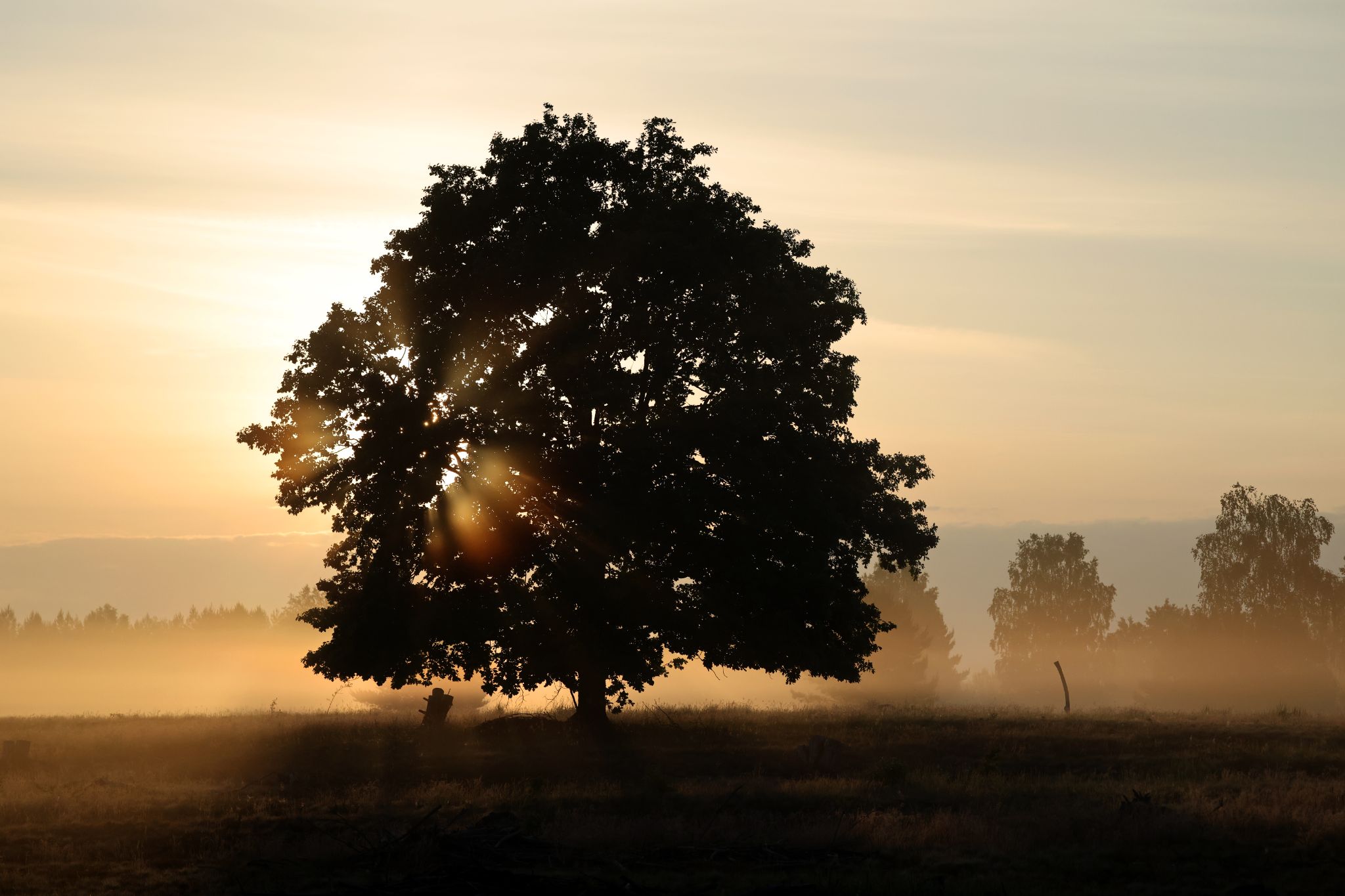Sonnenaufgang in der Schorfheide