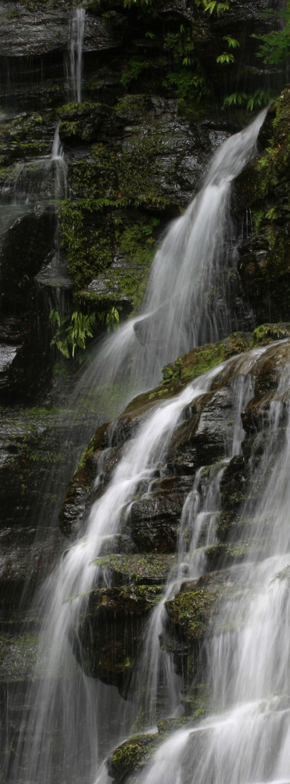 Wasser und Fels
