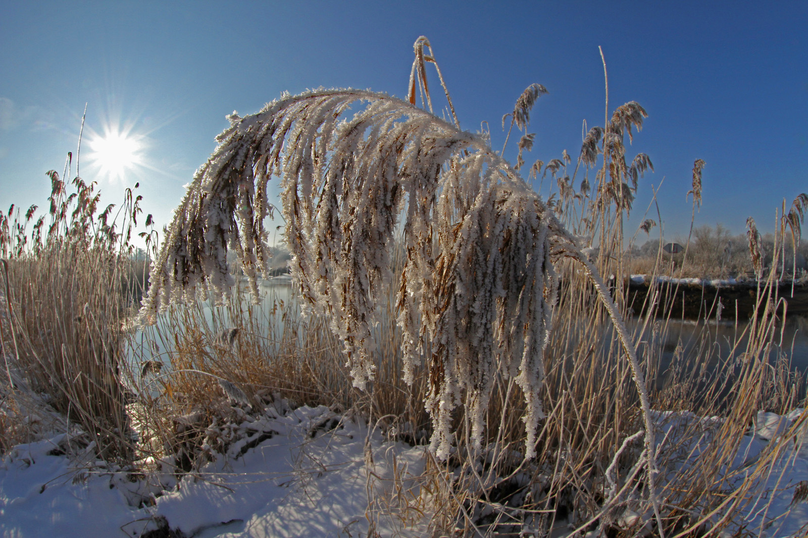 Winter am Fluss