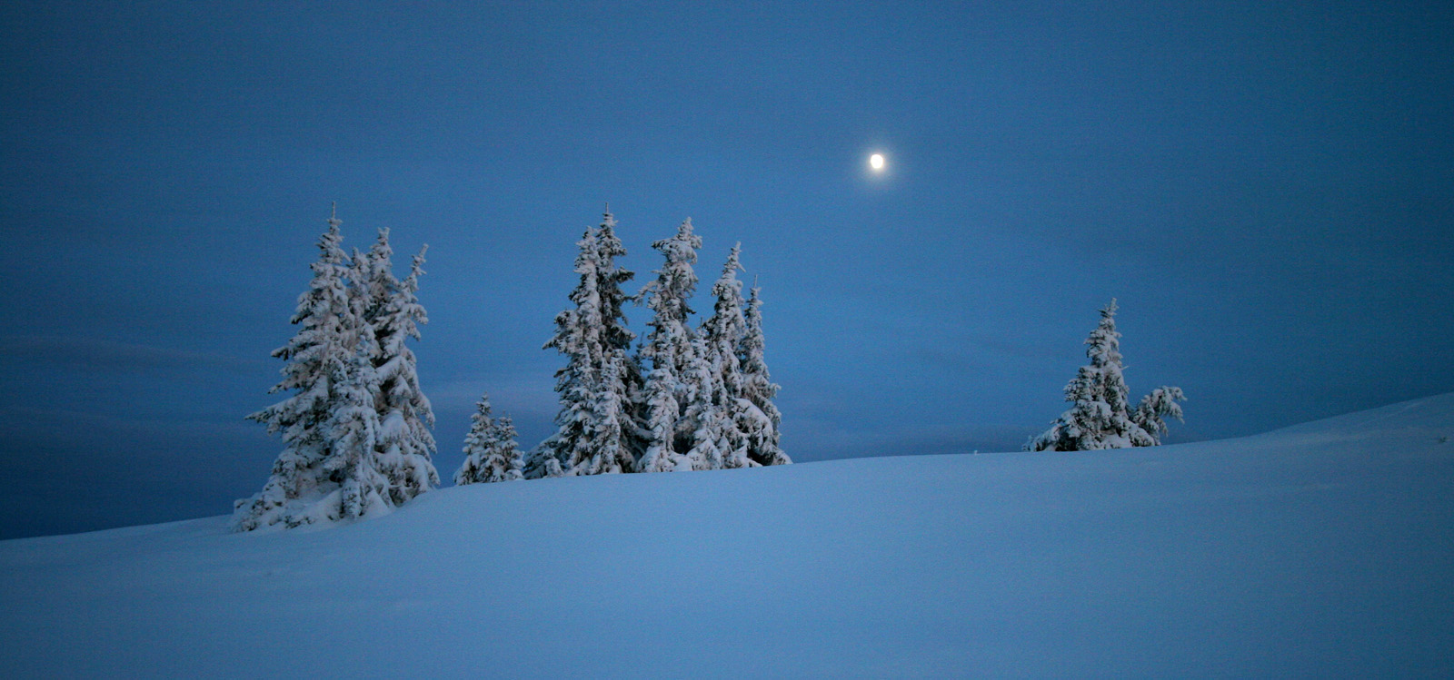 Wintermoon