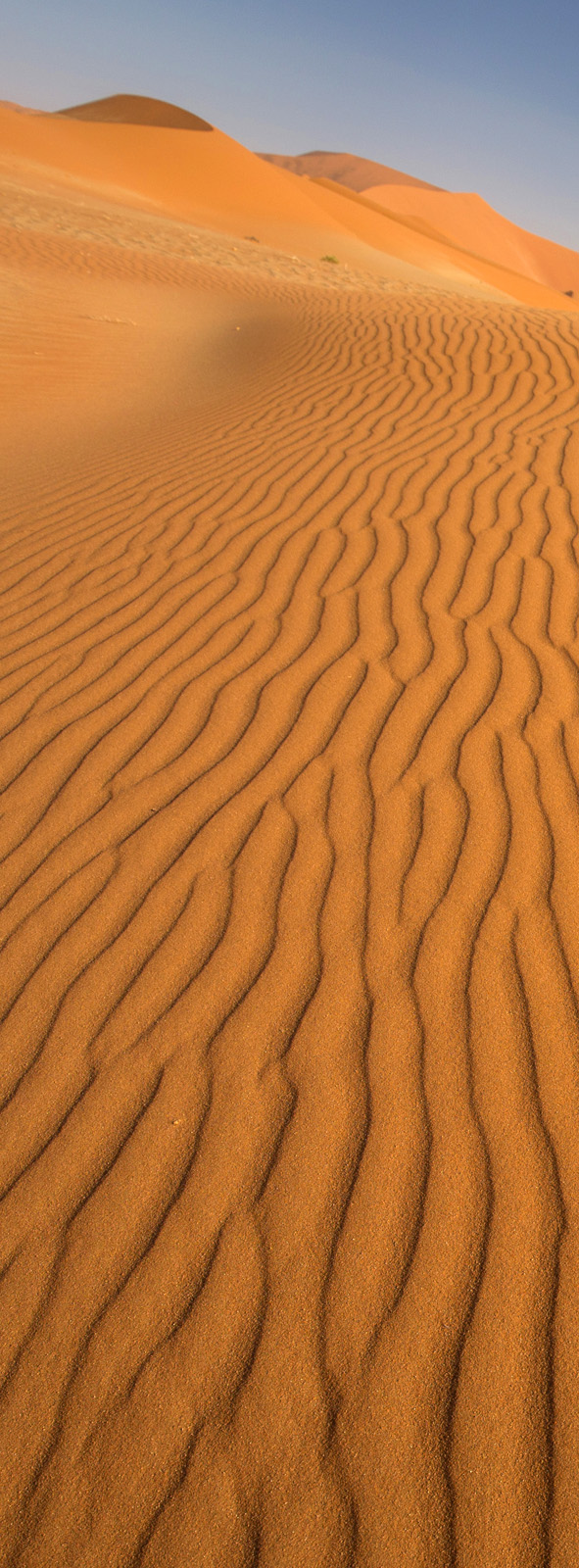 Dünenland