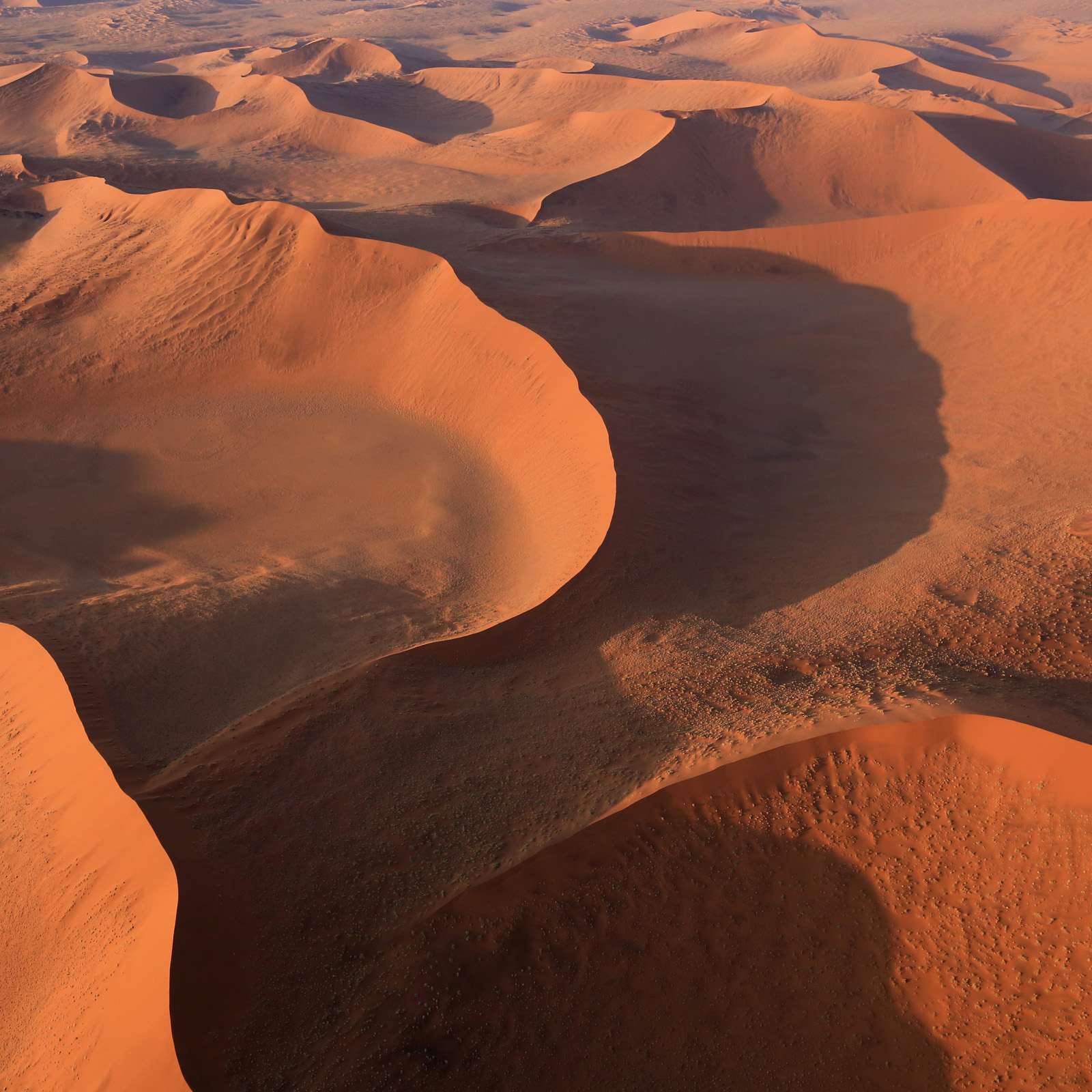 Namib Dünenkämme